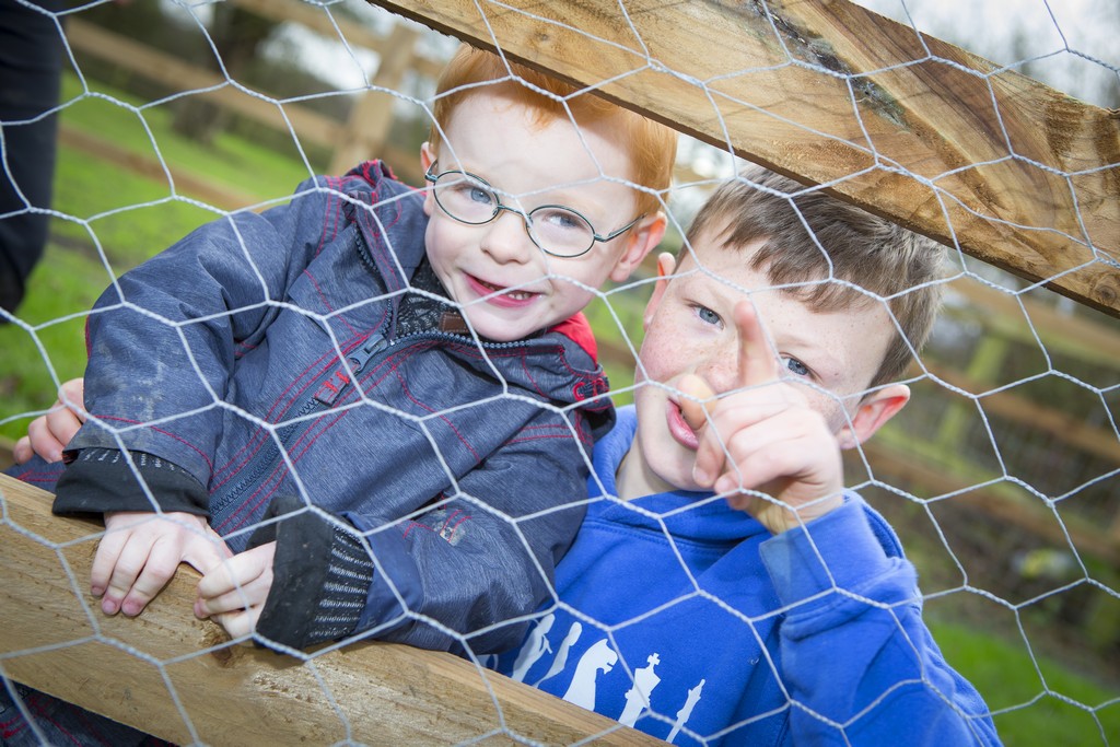 Things To Do Herrings Green Farm