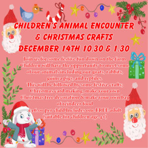 Children's Animal Encounter & Christmas Crafts - December 14th 10.30 & 1.30