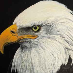 Birds & Brushstrokes - March 28th 9.30-1.00