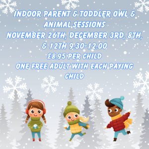Indoor Parent & Toddler Sessions - November 26th, December 3rd, 8th & 12th 9.30-12.00