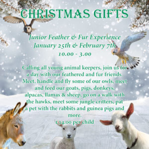 Junior Feather & Fur Experience - January 25th & February 7th 10.00-3.00