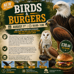 Birds & Burgers - August 1st 10.00