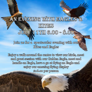 Giants of the Sky: An Evening of Eagles & Kites July 11th 6.00-8.00