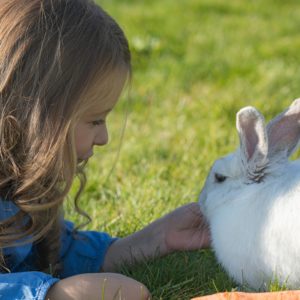 Furry Friends - June 27th 12.00-1.30