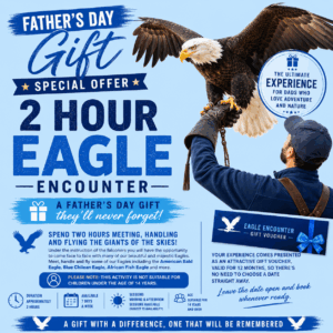 Fathers Day Gift - Special Offer 2 Hour Eagle Encounter