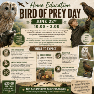 Home Education Bird of Prey Day - June 22nd 10.00-3.00