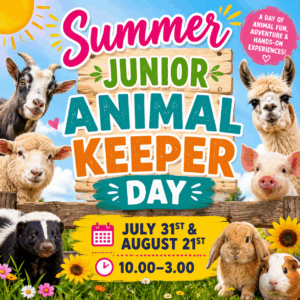 Summer Junior Animal Keeper Day - July 31st & August 21st 10.00-3.00