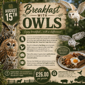 Breakfast with Owls - August 15th 10.00