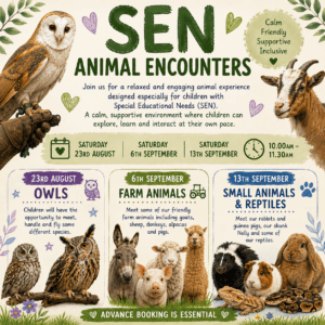 SEN Bird & Animal Encounters - August 23rd, September 6th & 13th 10.00-11.30