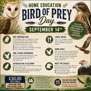 Home Education Bird of Prey Day - September 14th 10.00-3.00