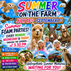 Saturday July 18th - Summer