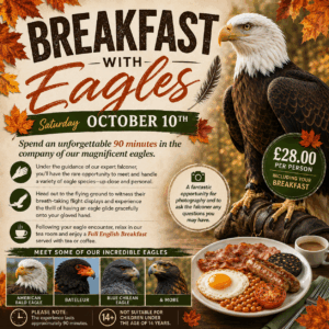 Breakfast with Eagles - October 10th