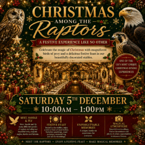 Christmas Among the Raptors - December 5th 10.00