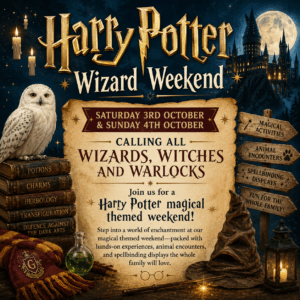 Harry Potter Wizard Weekend - Saturday October 3rd