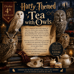 Harry Potter Themed Tea with Owls - October 4th 10.30 & 1.30