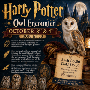 Harry Potter Owl Encounter October 3rd & 4th 10.00 & 1.00