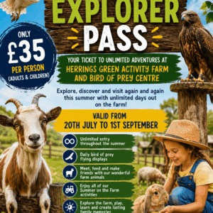 Summer Explorer Pass - Summer Holidays 2026