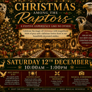 Christmas Among the Raptors - Saturday 12th December 10.00-1.00
