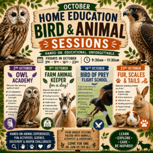 Home Education Bird & Animal Sessions - October 23rd 9.30-11.30