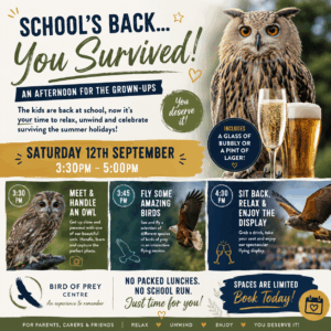 School's Back, Time to Relax - September 12th 3.30 - 5.00