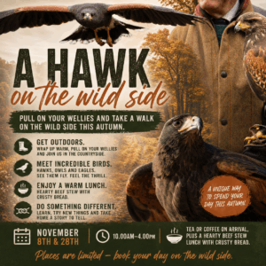 A Hawk on the Wild Side - November 8th & 28th 10.00-4.00