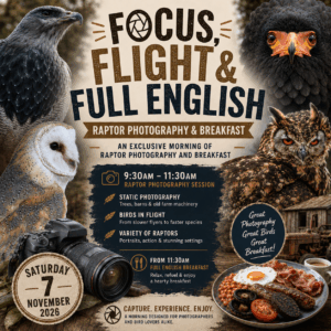 Focus, Flight & Breakfast - November 7th 9.30