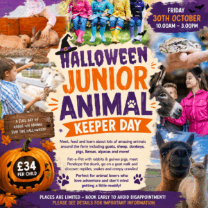 Halloween Junior Animal Keeper Day - October 30th 10.00-3.00