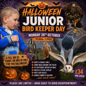 Halloween Junior Bird Keeper Day - October 26th 10.00-3.00