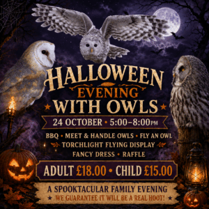 Halloween Evening with Owls - October 24th 5.00 - 8.00