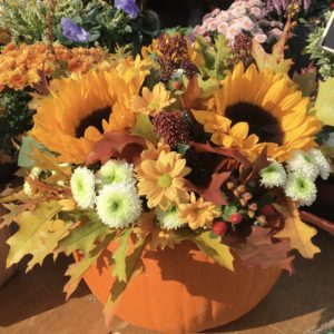 Posy in a Pumpkin Work Shop - October 25th 10.00-12.00 & 1.30-3.30