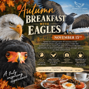 Autumn Breakfast with Eagles - November 15th 10.00