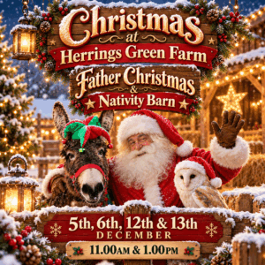 Father Christmas & Nativity Barn - December 5th,6th,12th & 13th 11.00 & 1.00