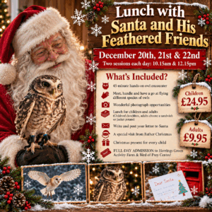 Lunch with Santa and his feathered friends 20th, 21st & 22nd December 10.15 & 12.15