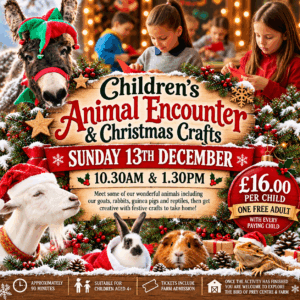Children's Animal Encounter & Christmas Crafts - December 13th 10.30 & 1.30